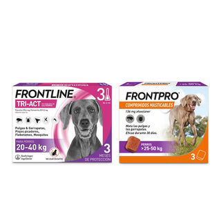 Pack Frontline Tri-Act pipetas + Frontpro comprimidos mastigáveis para cães grandes